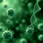 antibiotic-use-and-genetics-shape-gonorrhea-spread