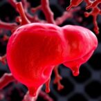 insights-from-hepatitis-testing-for-steatotic-liver-policy