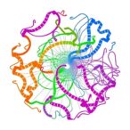 genome-wide-snp-array-reveals-metastatic-insights
