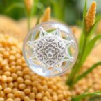 turning-sesame-waste-into-eco-friendly-silver-nanoparticles