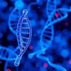 calcium-genes-forecast-luad-prognosis-and-immunotherapy-response