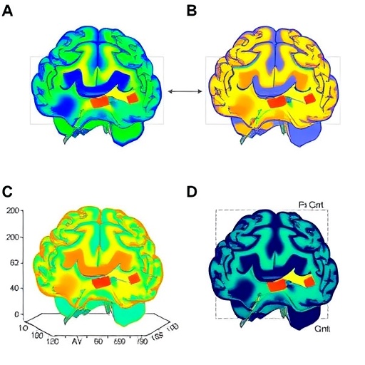 visual-states-influence-adaptive-deep-brain-stimulation-feedback