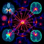 radiomics-predicts-egfr-response-in-glioma-models