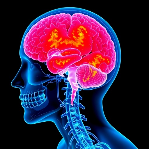 revolutionary-ai-model-diagnoses-sarcopenia-accurately