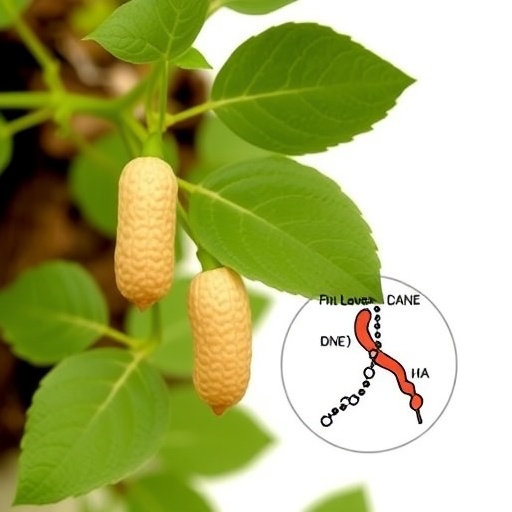 cultivated-peanut-ahpr10-gene-family-plays-key-role-in-resistance-to-aspergillus-flavus