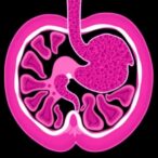 modified-folfirinox-plus-nivolumab-in-pancreatic-cancer-trial