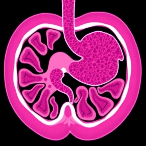modified-folfirinox-plus-nivolumab-in-pancreatic-cancer-trial