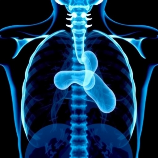 radiotherapy-vs.-surgery-for-esophageal-cancer:-a-cost-effectiveness-study
