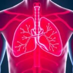 aloe-vera-gel-mitigates-acetaminophen-liver-damage