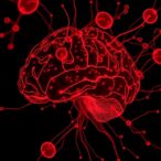 mef2a-protects-against-stroke-via-pi3k/akt-pathway