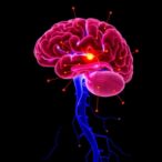 lrrk2-p.a419v-linked-to-parkinson’s-in-east-asians