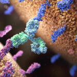 sinorda-and-wuxi-partner-on-bispecific-antibody-development-and-manufacturing