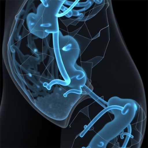 fibrosis-in-uterine-leiomyomas:-impact-of-race-and-genetics