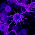 reviving-antitumor-immunity-in-gestational-trophoblastic-neoplasia