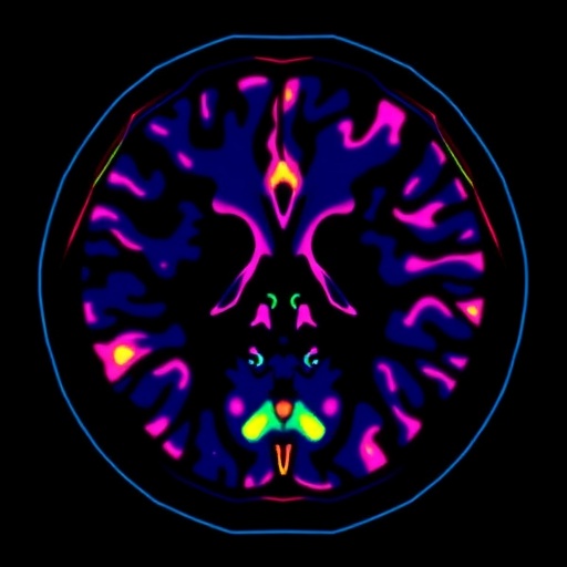 interpretable-ai-lowers-false-positives-in-breast-mri