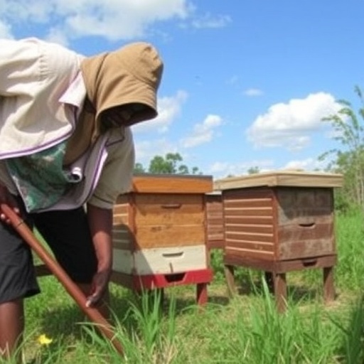 profitability-of-traditional-vs.-improved-beehives-in-tanzania