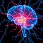 scientists-create-a-“rosetta-stone”-to-unlock-the-secrets-of-chronic-pain-neurons