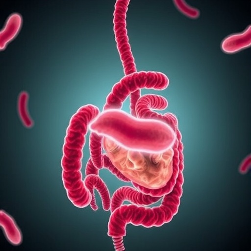 gut-microbiome-links-schistosoma-infection-and-heart-risk