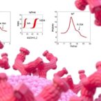 blocking-nxph4/aldh1l2-overcomes-enzalutamide-resistance