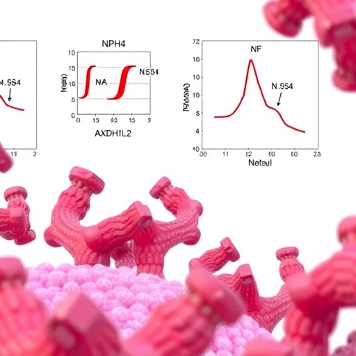 blocking-nxph4/aldh1l2-overcomes-enzalutamide-resistance