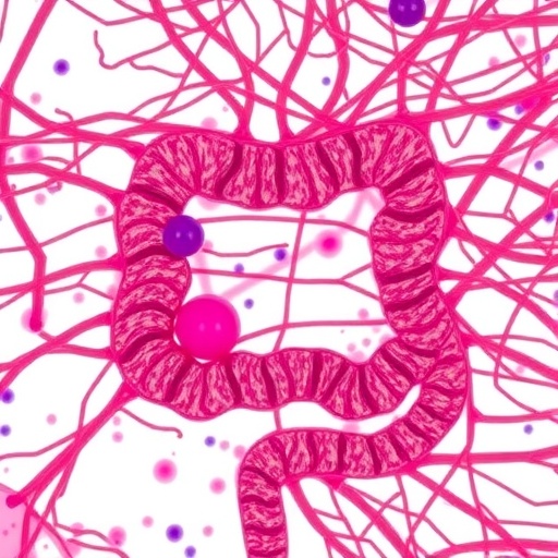 colorectal-cancer-osteopontin-drives-pro-metastatic-macrophages