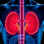 prolonged-pda-exposure-raises-late-kidney-injury-risk