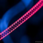 revolutionary-low-temperature-activation-enables-deployment-of-smart-4d-printed-vascular-stents