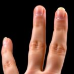 could-finger-length-hold-key-insights-into-the-evolution-of-the-human-brain?