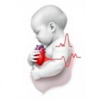 maturing-heart-lung-sync-reveals-preterm-infant-health