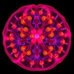 ai-enhanced-optical-coherence-photoacoustic-microscopy-revolutionizes-3d-cancer-model-imaging