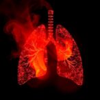 new-study-uncovers-mechanism-behind-burn-pit-particulate-matter–induced-lung-inflammation