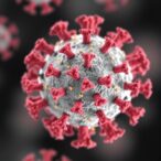 stabilized-mers-cov-spike-nanoparticle-vaccine-shows-promise