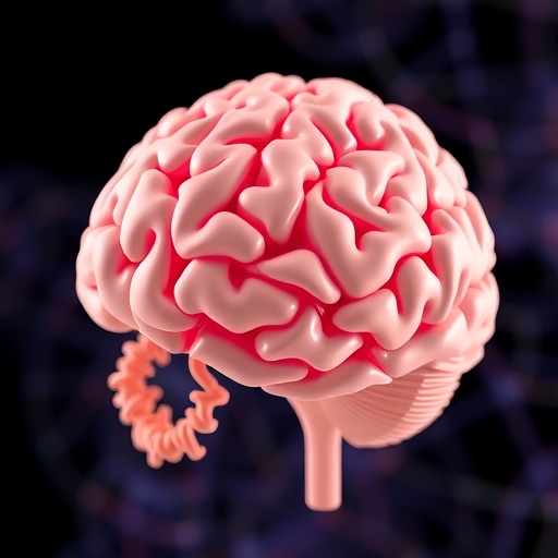 3d-gut-brain-vascular-model-reveals-disease-links