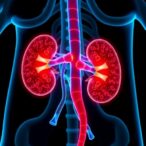 urinary-clusterin:-tracking-kidney-disease-and-treatment-response