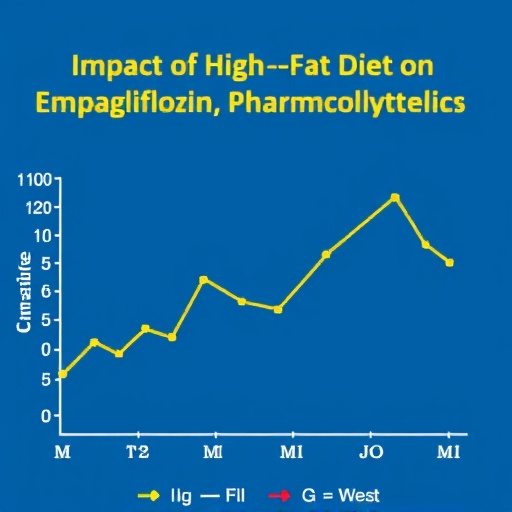 impact-of-high-fat-diet-on-empagliflozin-pharmacokinetics