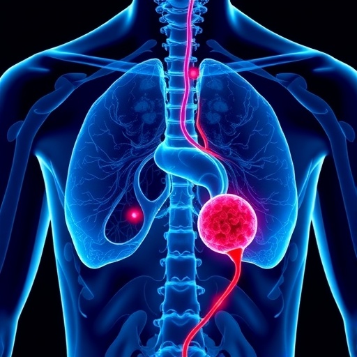 groundbreaking-jnccn-study-reveals-new-approaches-for-treating-recurring-prostate-cancer