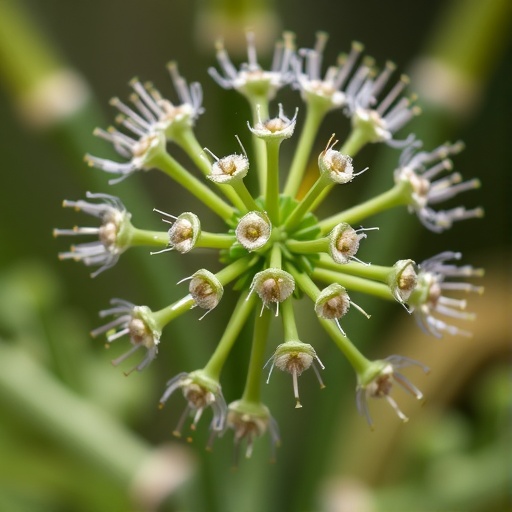 new-targets-identified-in-plant-immunity-via-bik1-mapping