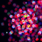 quantitative-nk-cell-analysis-via-label-free-flow-imaging