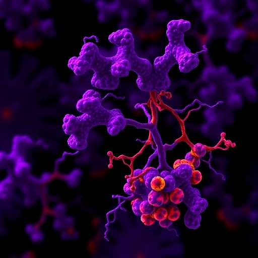 histone-lactylation-drives-immune-escape-in-pancreatic-cancer