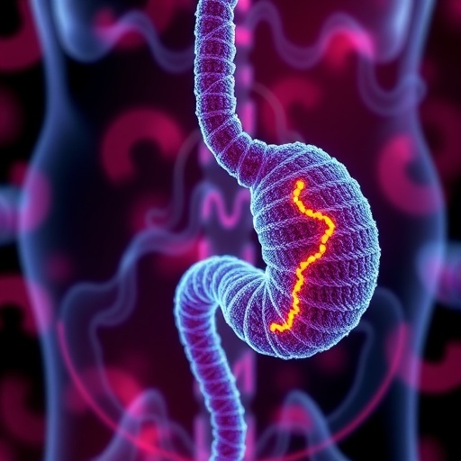 epigenetic-changes-play-a-crucial-role-in-accelerating-the-spread-of-pancreatic-cancer