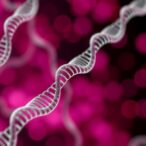 dna-barcoding-uncovers-the-intricacies-of-breast-cancer-liquid-biopsies