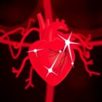 heart-disease-risk-factors-emerge-earlier-among-south-asian-adults-in-the-us.