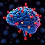 virus-based-therapy-enhances-immune-system-attack-on-brain-cancer