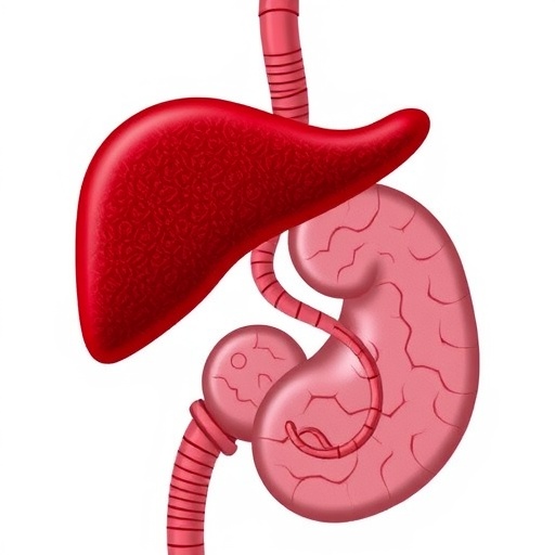 ddah1-regulates-liver-lipid-metabolism-during-fasting-states