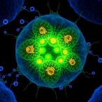 hkust-scientists-pioneer-metastasis-prevention-therapy-through-glycan-targeting