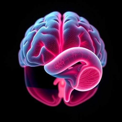 lasting-brain-changes-after-very-preterm-birth