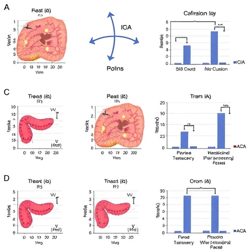 mitochondrial-dysfunction-tied-to-iga-deficiency-in-crohn’s