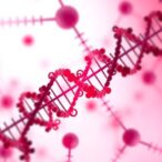 aav-gene-therapies-show-promise-for-neovascular-amd