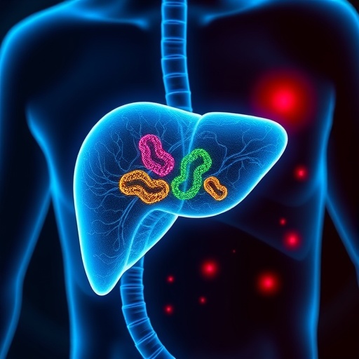 l-aspartate-heals-fatty-liver-by-protecting-mitochondria