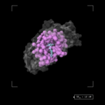 terray’s-ai-model-accelerates-drug-potency-prediction,-pose-not-needed